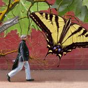 Person walks by a mural of a butterfly.