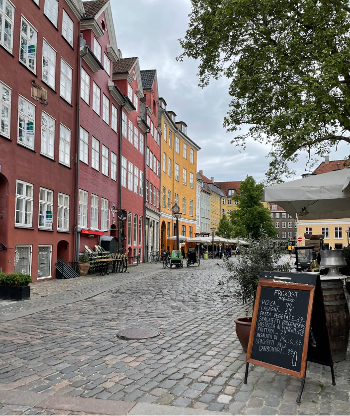 Copenhagen’s policy of providing grants for the renewal of residential buildings preserved historic structures and created larger homes for families without altering the city’s historic character.